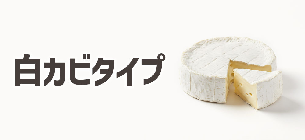 白カビ(表面白カビ型)クリーミーで上品な味わい