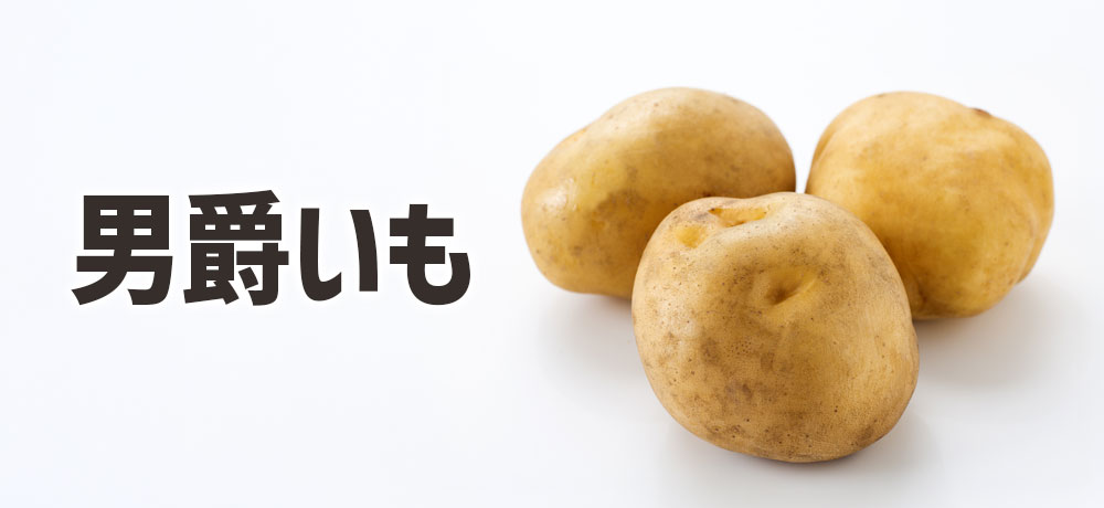 男爵いもの見た目の特徴（色・形状）