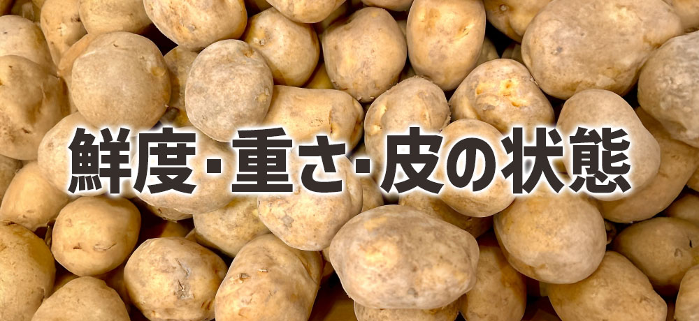 鮮度・重さ・皮の状態からの選び方