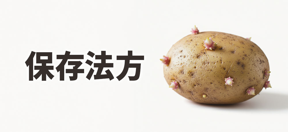 メークインと男爵いもの保存法方