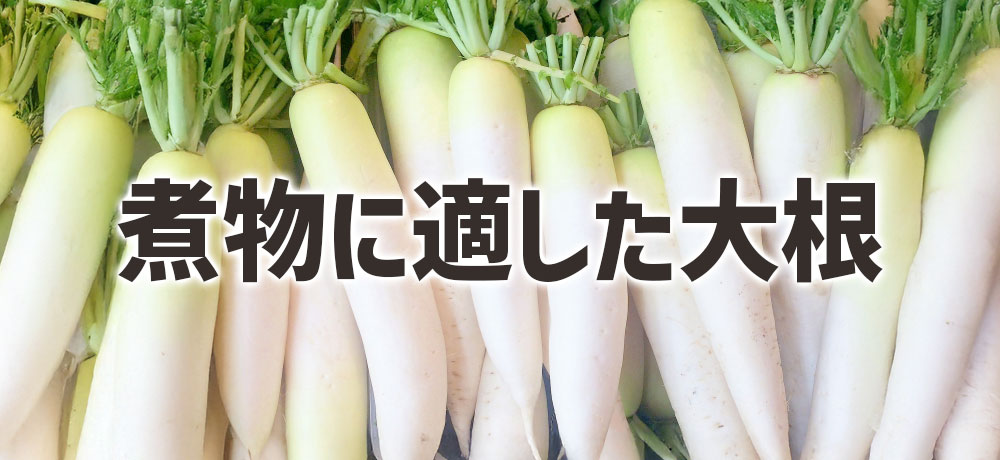  煮物に適した大根の選び方