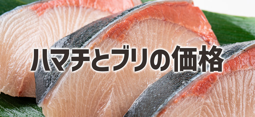 ハマチとブリの価格の違い