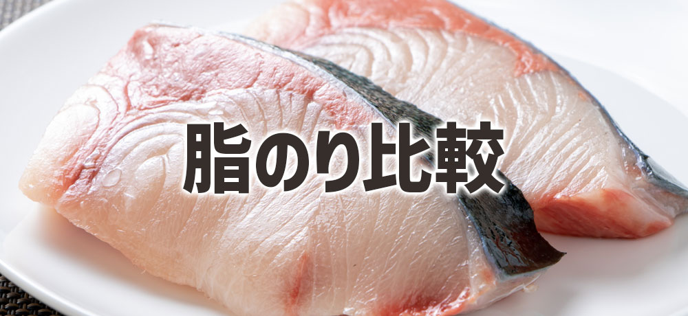 脂のり比較：ハマチは控えめ、ブリはしっかり？