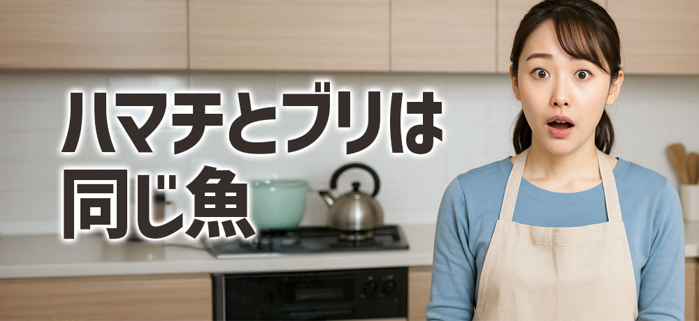 つまりハマチとブリは同じ魚？