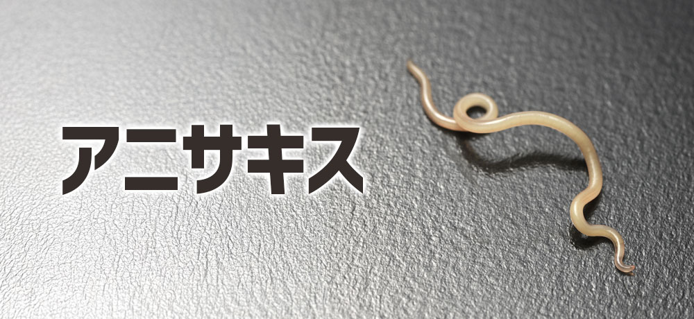 生筋子と生いくらのアニサキス等の注意点