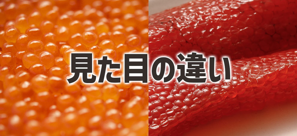 いくらと筋子の見た目の違い・粒の大きさ・つや感の違い