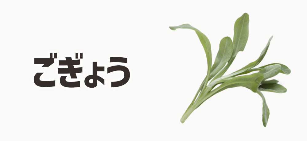 ごぎょう：ふわふわの葉が特徴のやさしい草