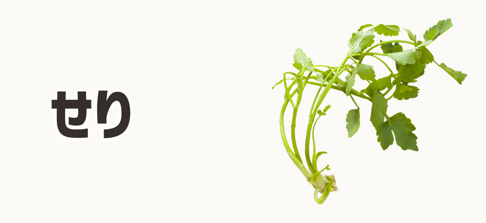 せり：香りがさわやかな春の味