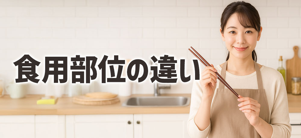 大根とかぶの食用部位の違い