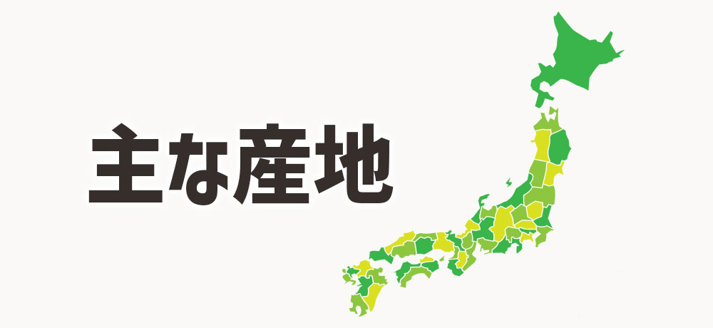 大根とかぶの主な産地