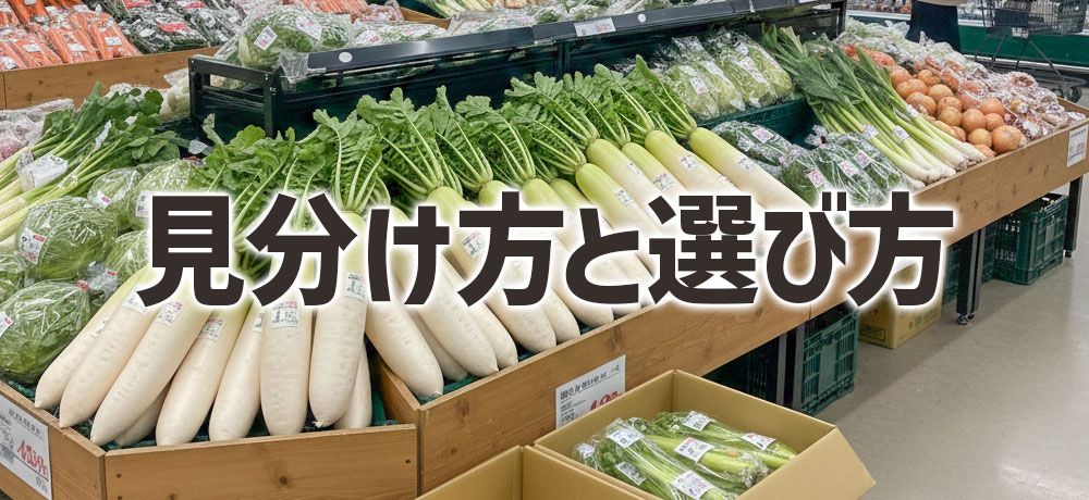 新鮮な大根とかぶの見分け方と選び方