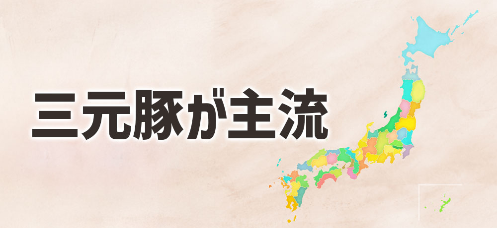 なぜ日本で三元豚が主流になったのか