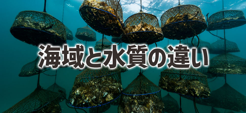生食用と加熱用の海域と水質の違い