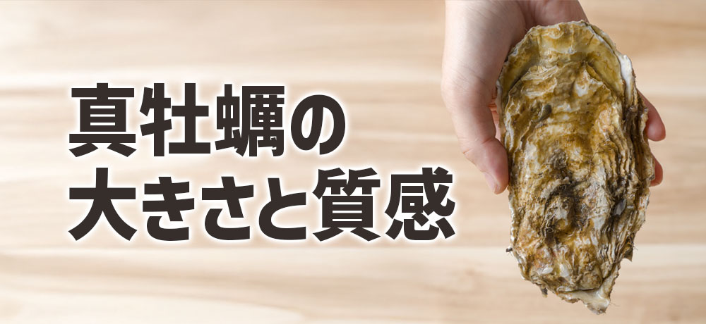 真牡蠣の大きさと殻の形と身の質感