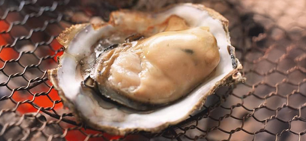 料理ごとのおすすめ（焼き、蒸し、フライなど）