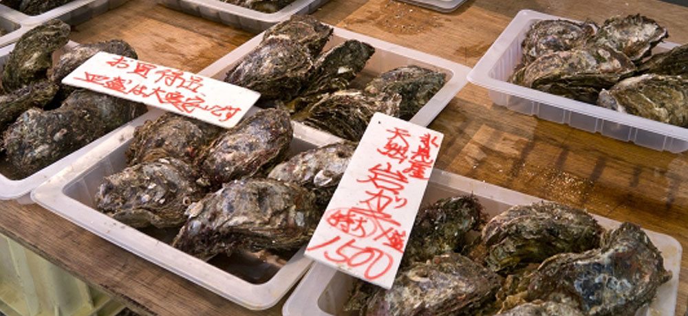 岩牡蠣の旬の時期