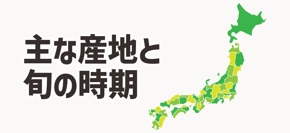 長芋がおいしい旬の時期と主な産地