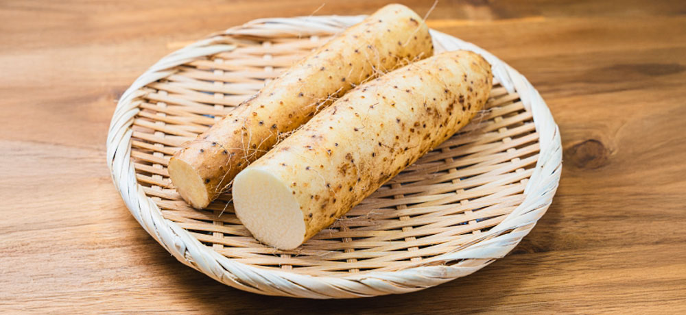 長芋は生で食べれる：まとめ