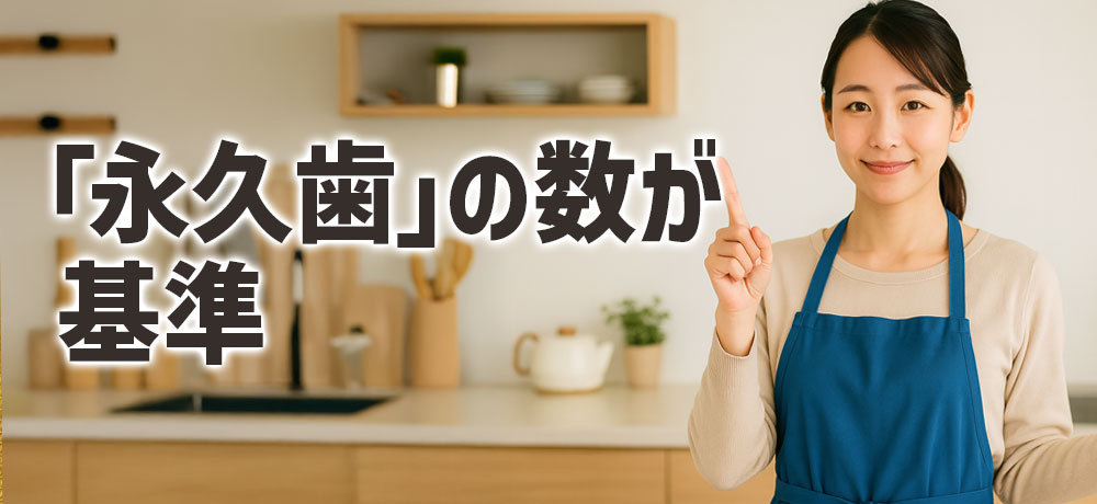 羊の年齢(成長段階)は「永久歯」の数が基準