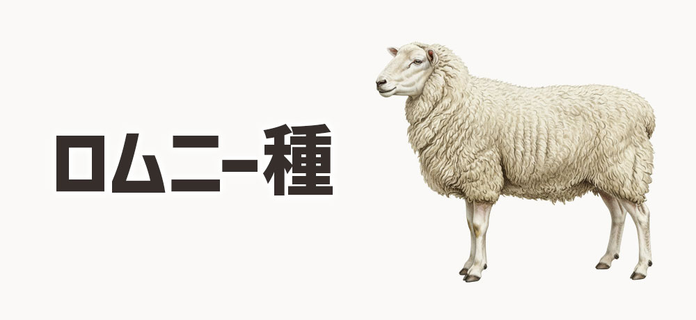 ロムニー種