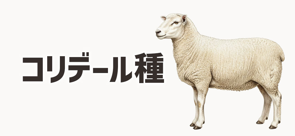 コリデール種