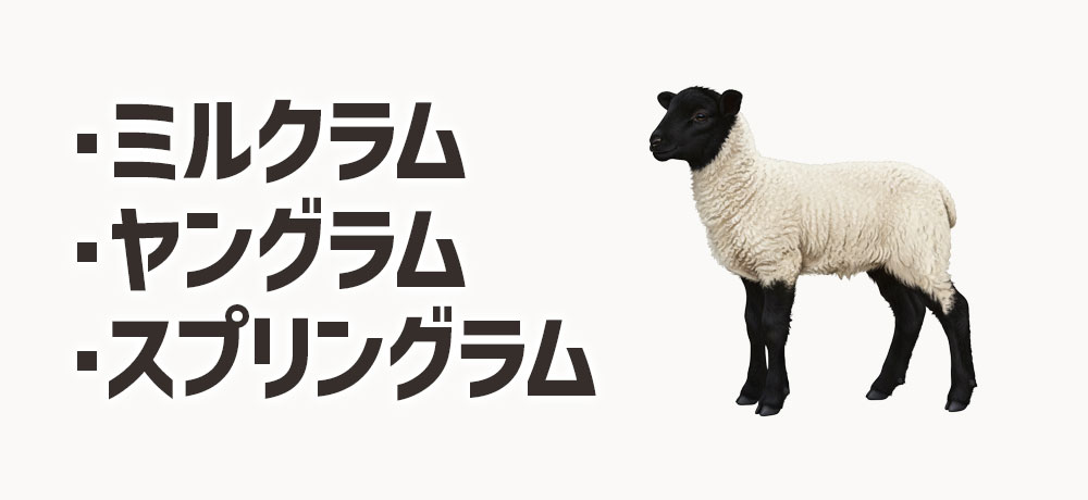 「ミルクラム」「ヤングラム」「スプリングラム」って何?