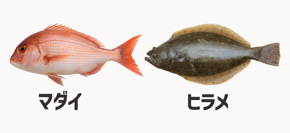 白身魚(タイ/ヒラメなど)