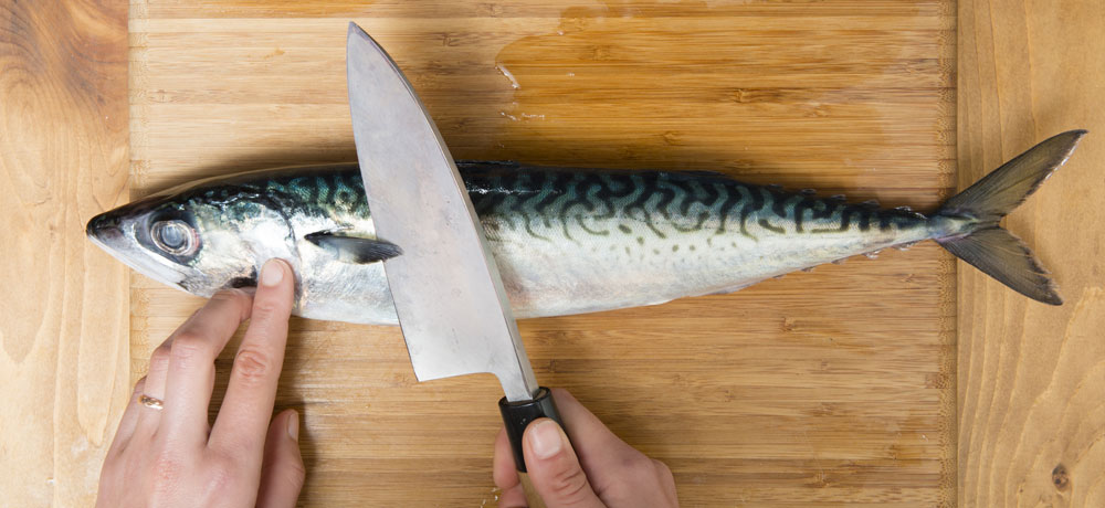 魚の保存前にやるべき下処理