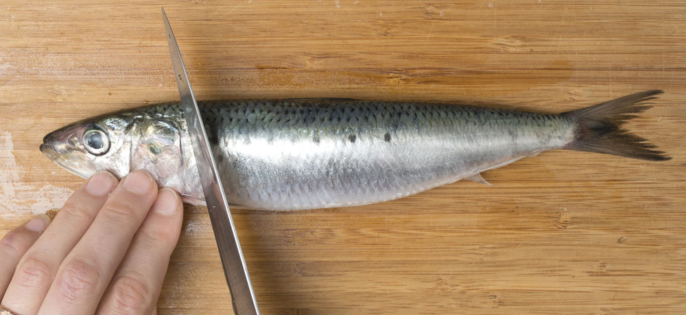 丸魚(1尾まるごと)の場合の下処理と保存