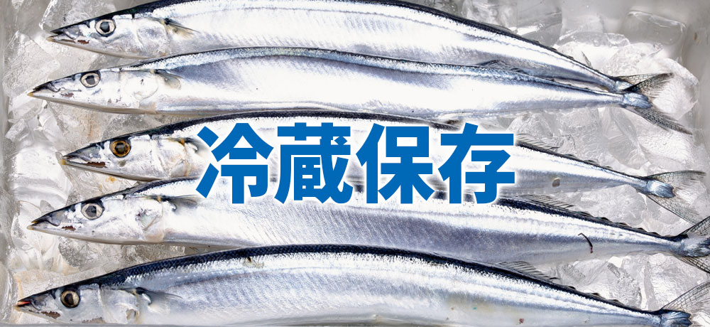 魚の冷蔵保存方法:丸魚から切り身、刺身まで