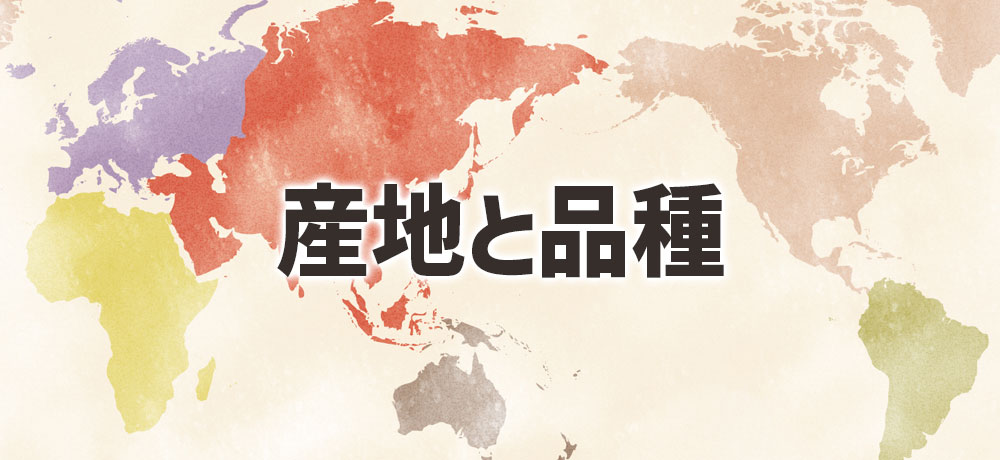 レモンとライムの産地と品種