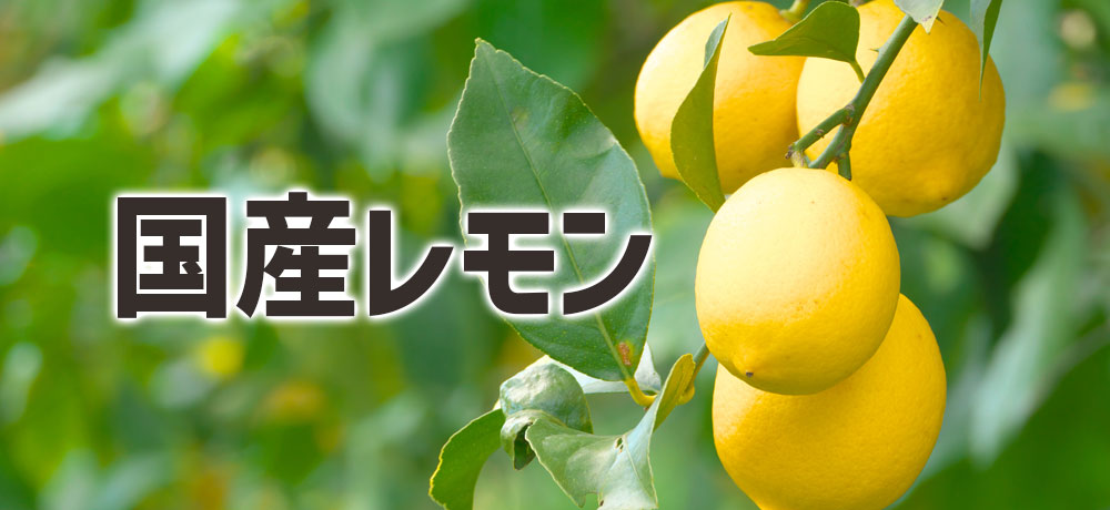 日本のレモンの産地
