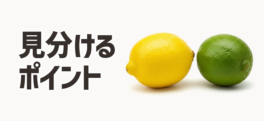 新鮮なレモンとライムを見分けるポイント