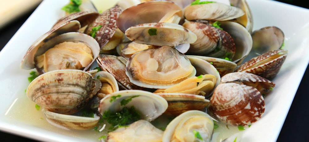 身の食感の違い