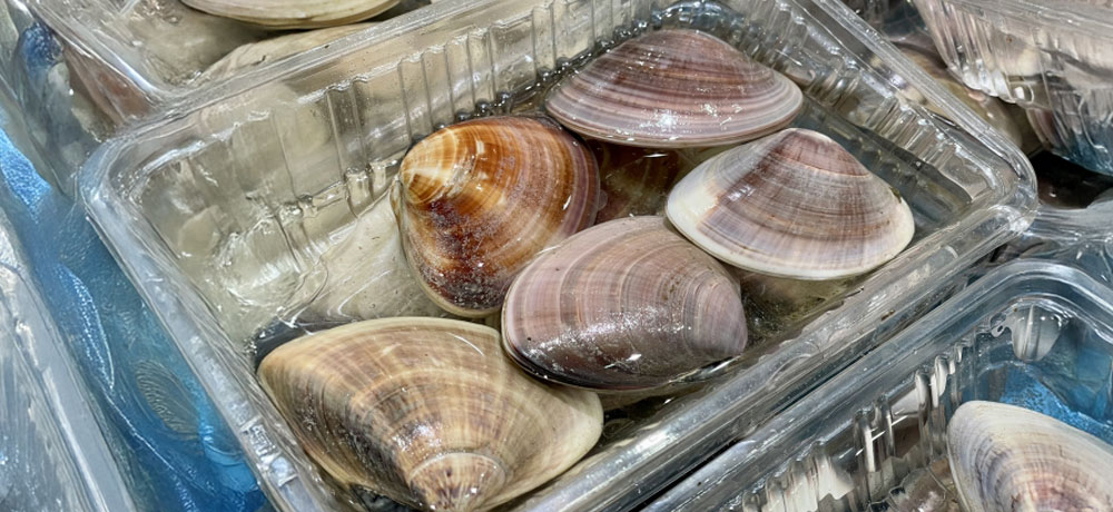 おいしいハマグリの選び方