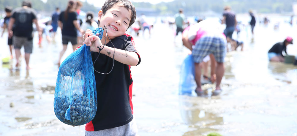 潮干狩りで採れるのはどっち？