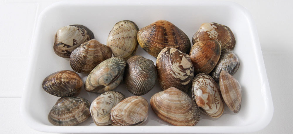 年間を通して手に入りやすいのはどっち？