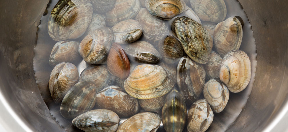 アサリとハマグリの下処理