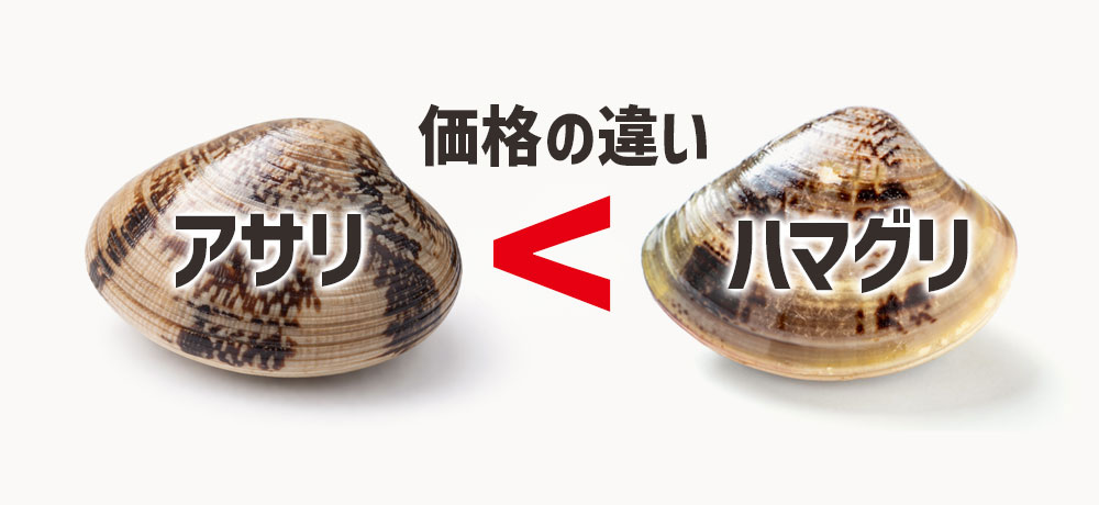 国産アサリと国産ハマグリの価格の違い