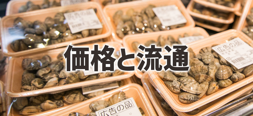 国産アサリと国産ハマグリの価格と流通