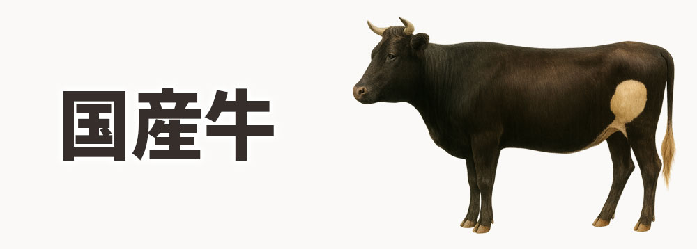 国産牛のコマ切れ肉100g