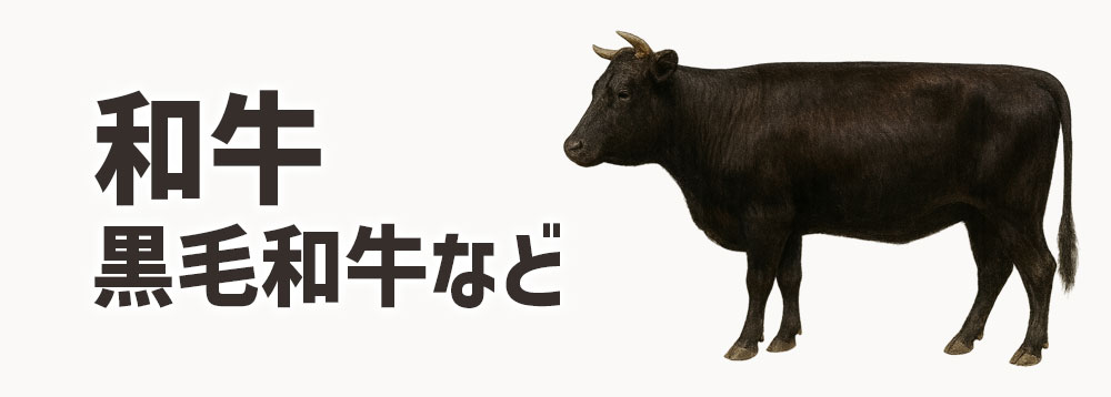 和牛(黒毛和牛など)のコマ切れ肉100g
