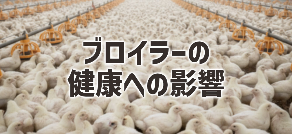 ブロイラーの健康への影響