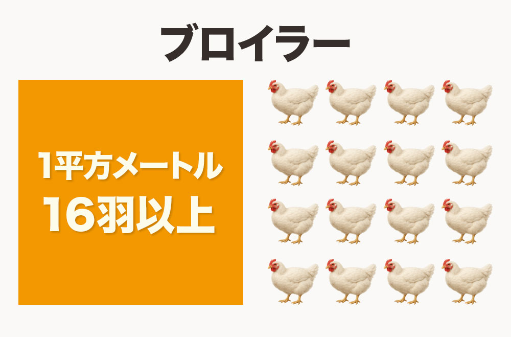 1平方メートルあたり16羽以上が同時に飼育される「高密度飼育（密飼）」