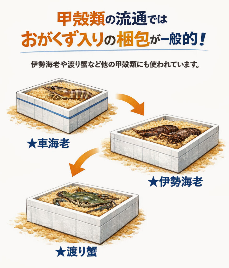 甲殻類の流通では、おがくず入りの梱包は一般的