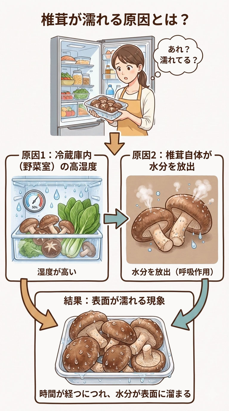 椎茸が濡れたようになる原因とは？