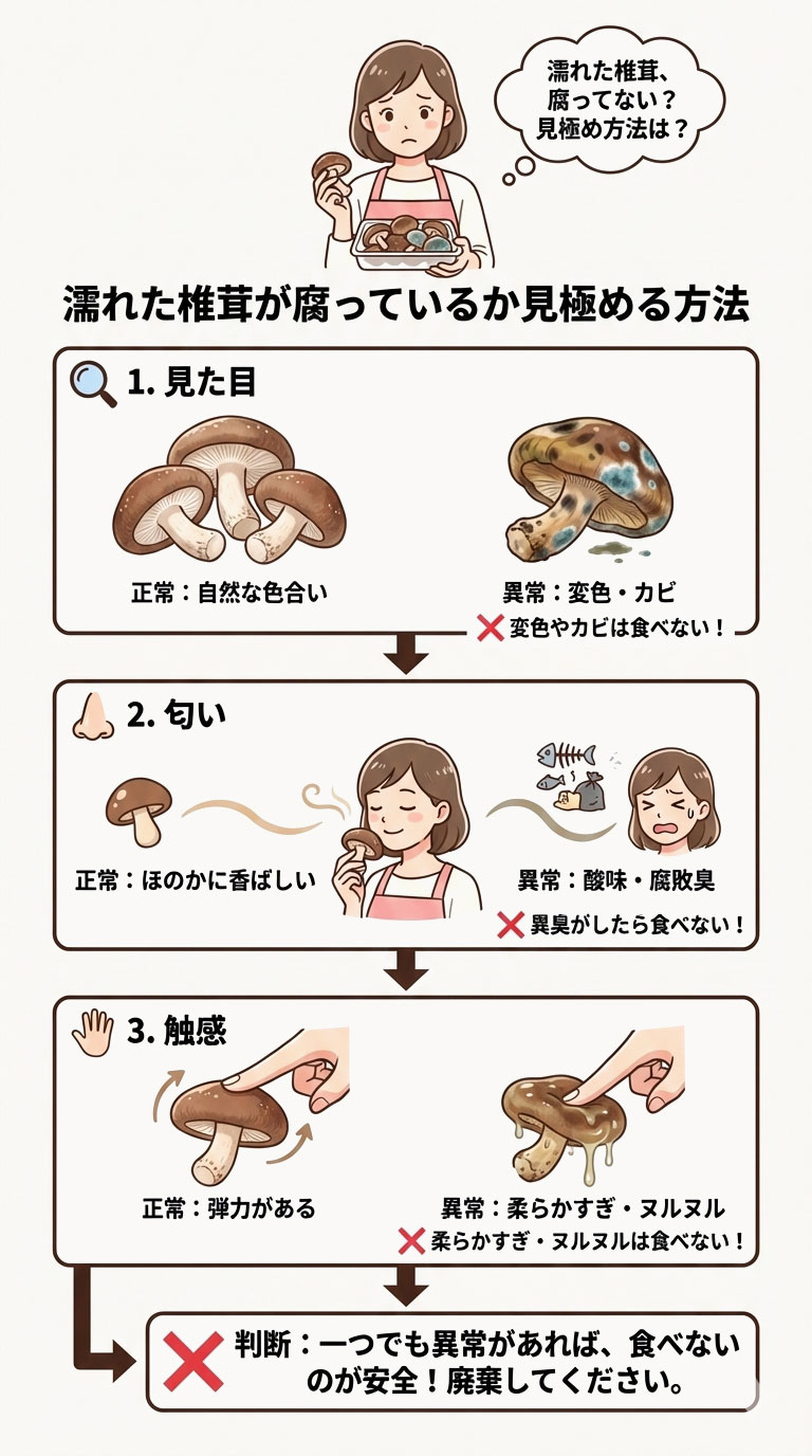 濡れた椎茸が腐っているかどうかを見極める方法