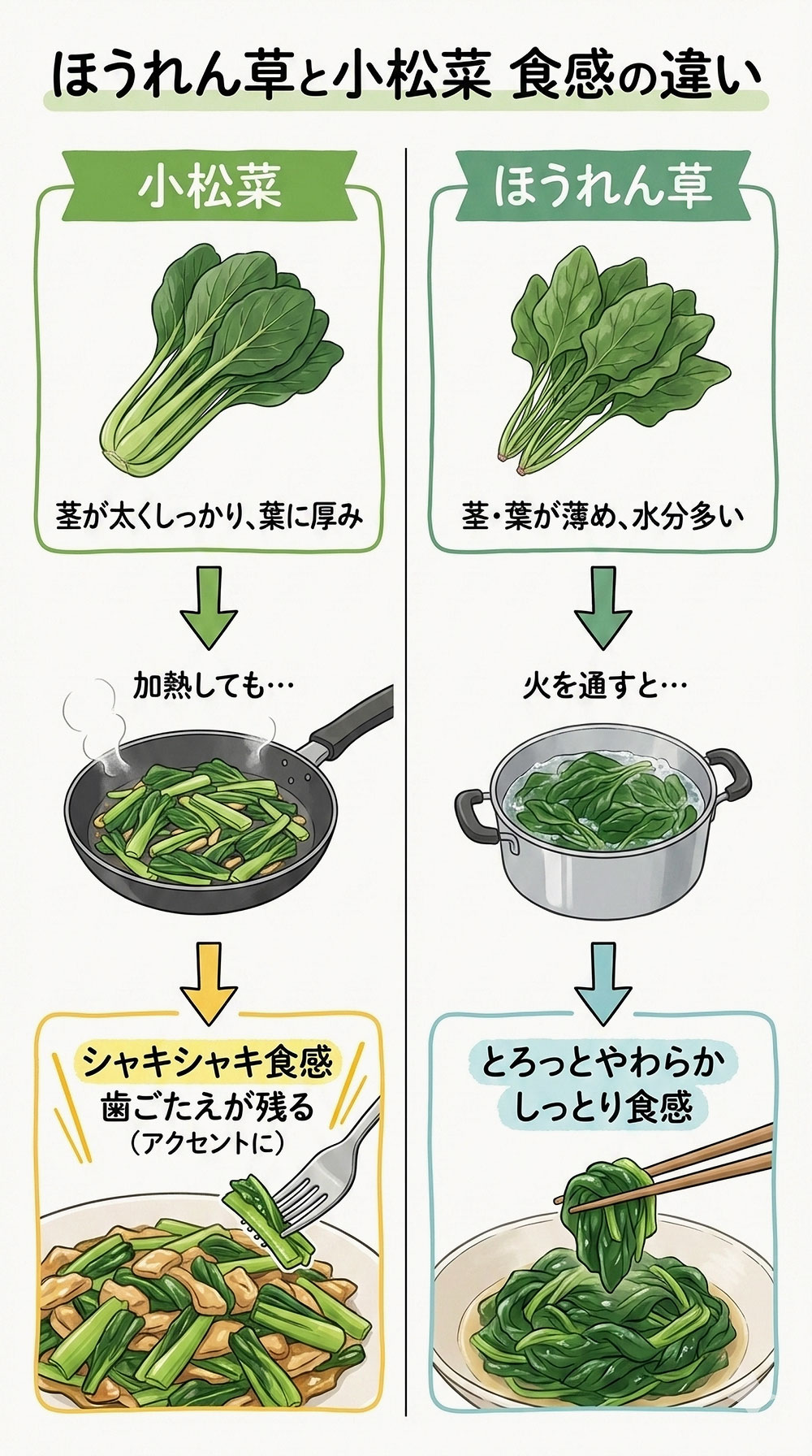 ほうれん草と小松菜の食感の違い