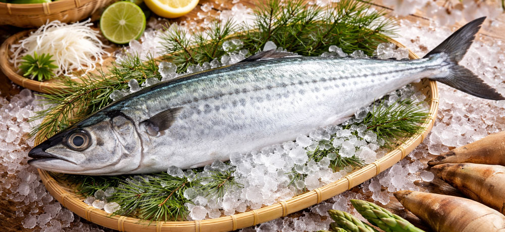 鰆（サワラ）の旬はいつ？