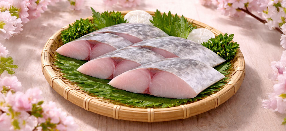 春の鰆の味・身質・脂の特徴